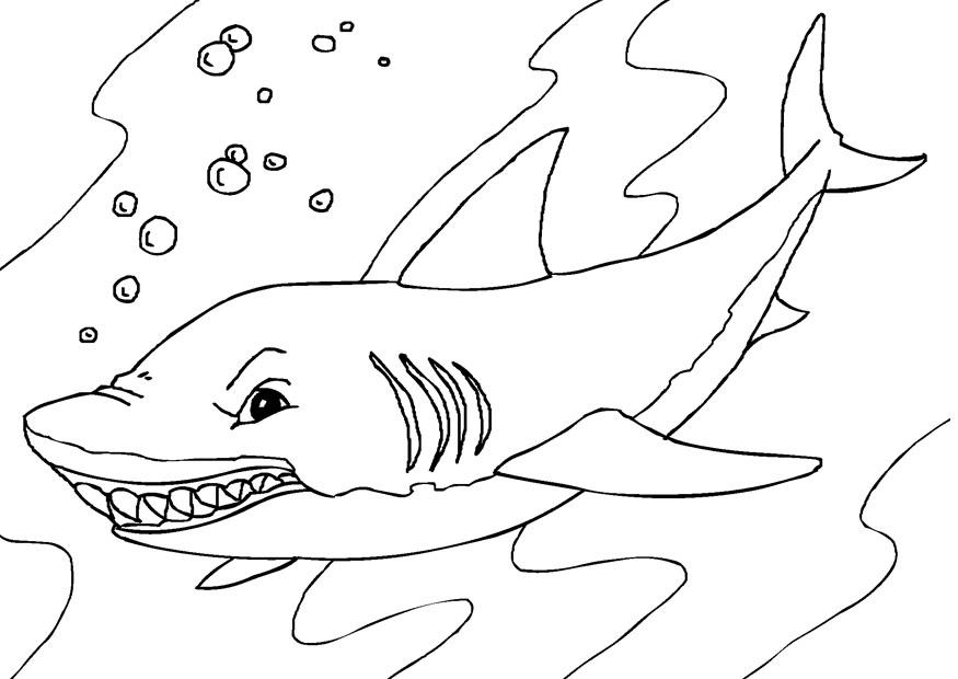 Shark coloring #2, Download drawings