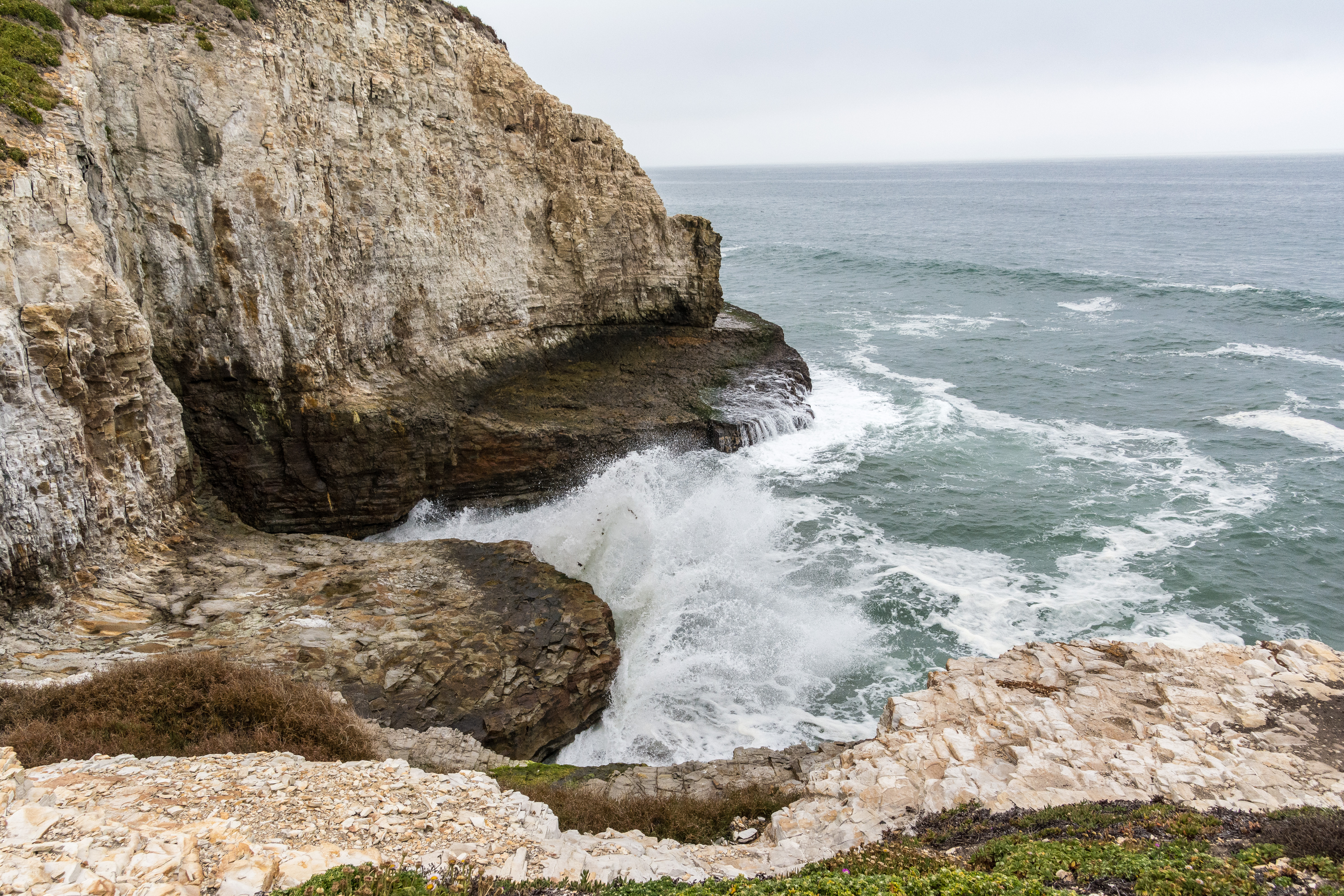 Shark Fin Cove svg #4, Download drawings