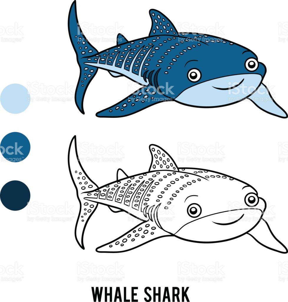 Sharkwhale coloring #2, Download drawings