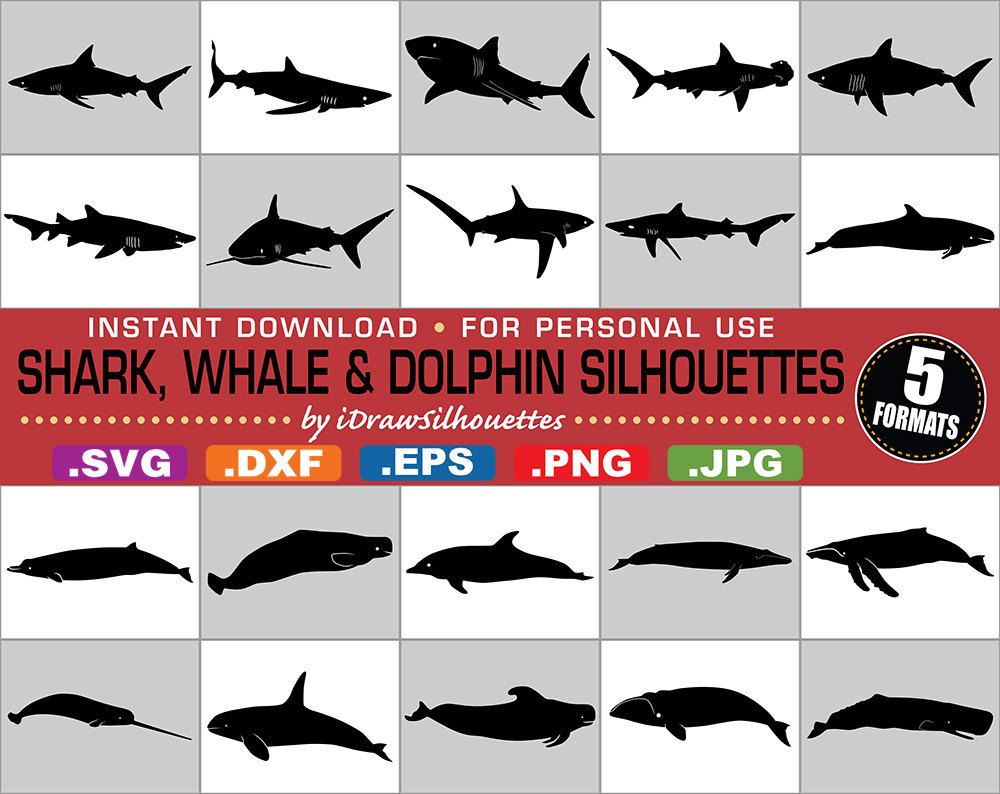 Sharkwhale svg #20, Download drawings