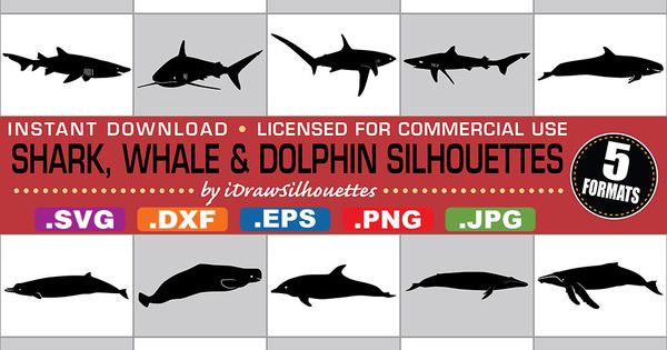 Sharkwhale svg #14, Download drawings