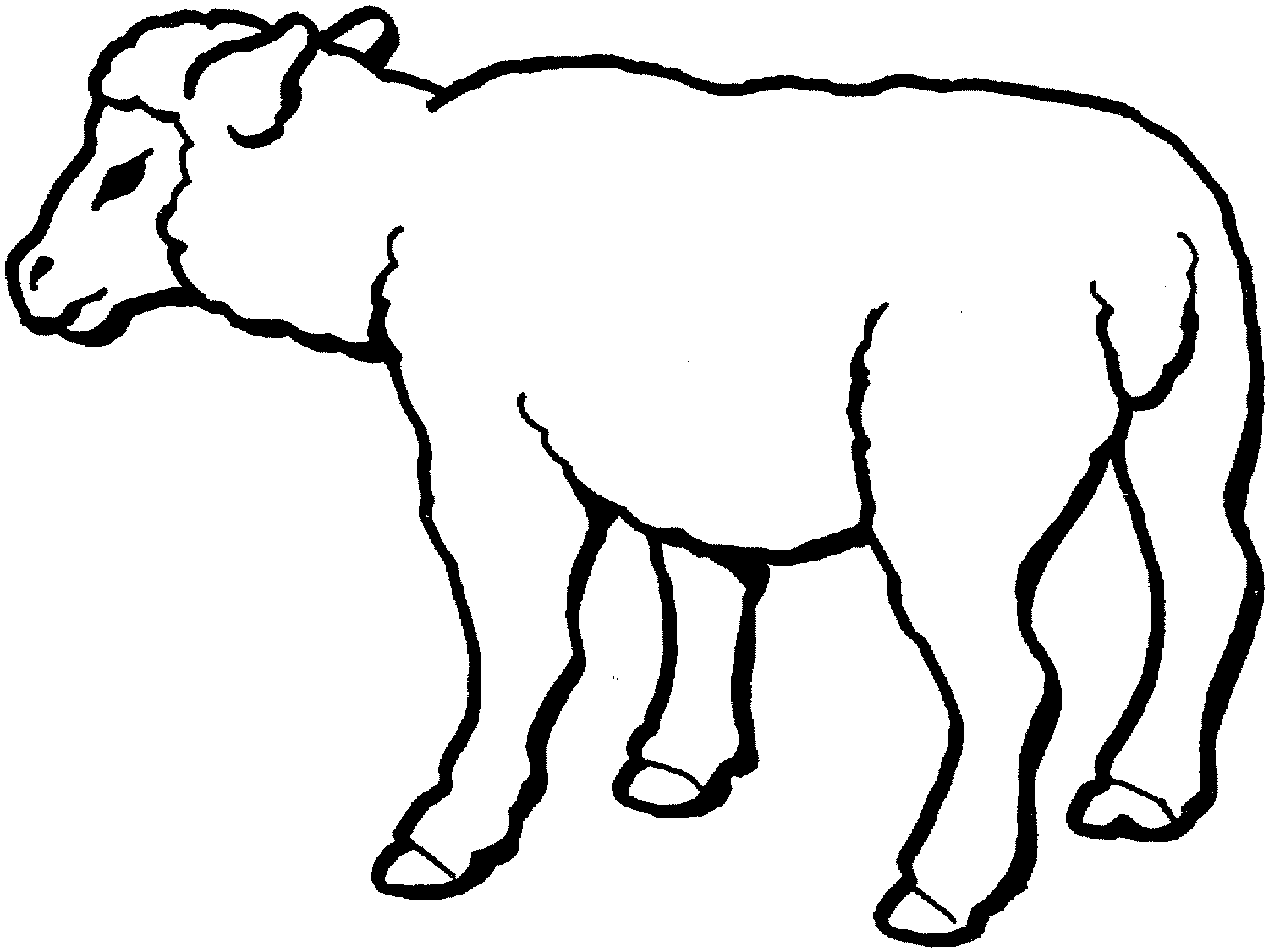 Sheep coloring #9, Download drawings