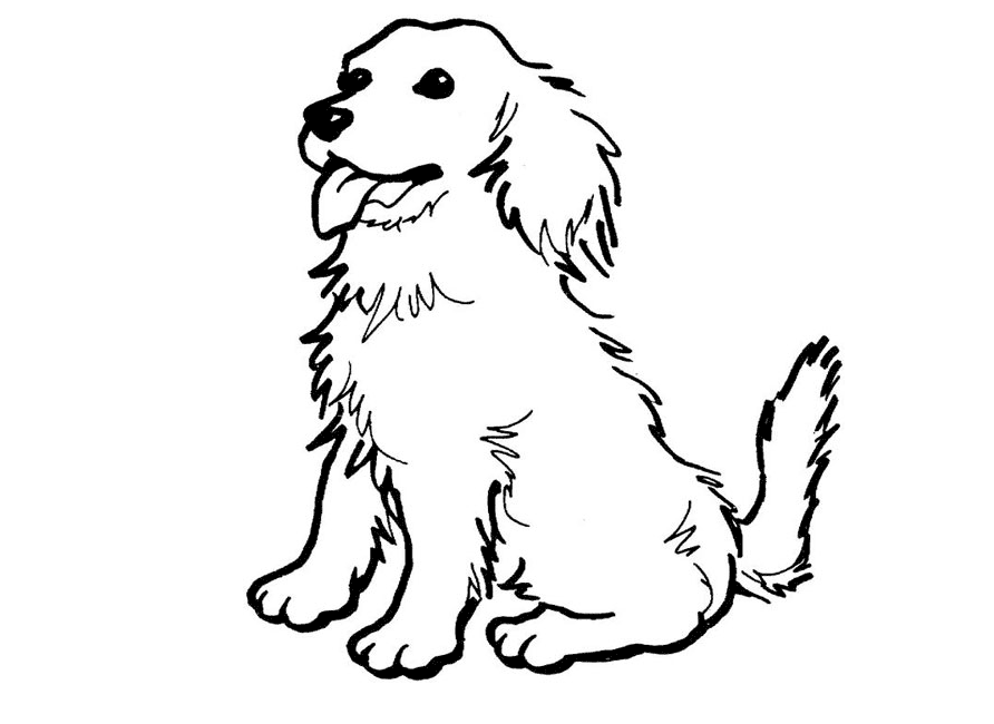 Sheepdog coloring #1, Download drawings