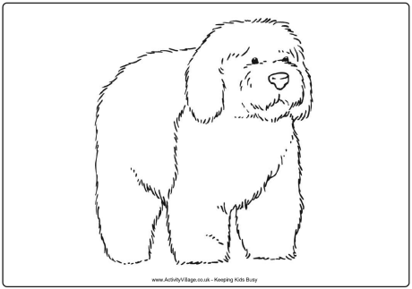 Sheepdog coloring #7, Download drawings