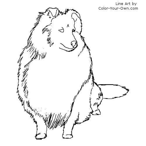 Sheepdog coloring #6, Download drawings