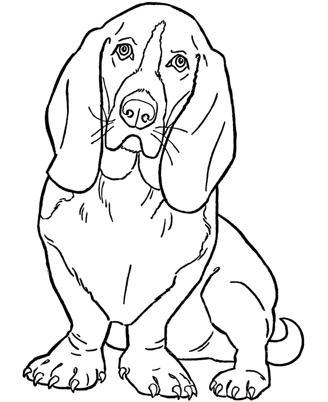 Hound coloring #2, Download drawings