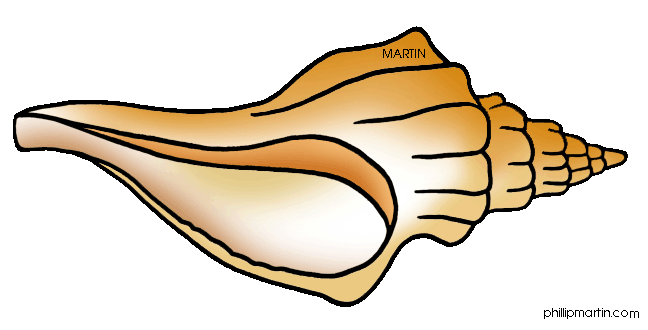 Conch clipart #1, Download drawings