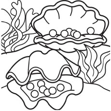Shell coloring #5, Download drawings