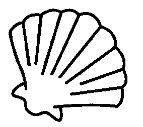 Shell coloring #4, Download drawings