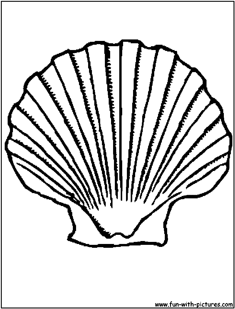 Shell coloring #14, Download drawings