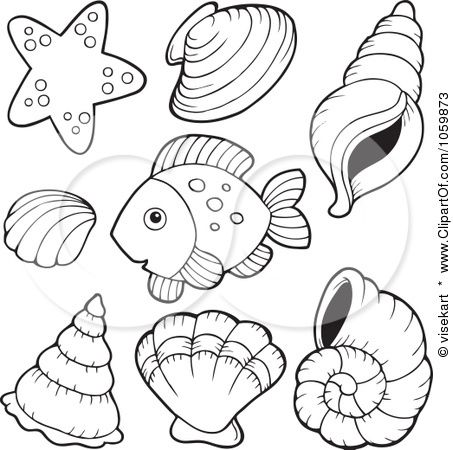 Shell coloring #12, Download drawings