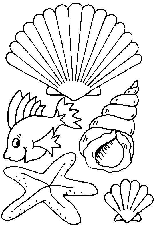 Shell coloring #7, Download drawings