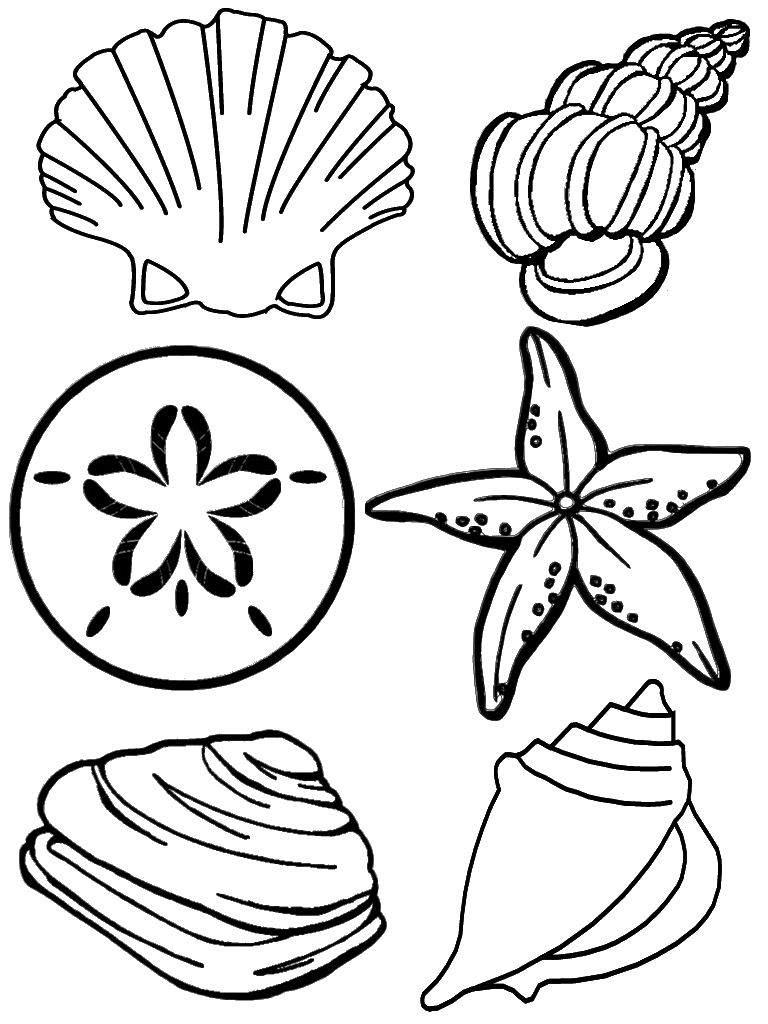 Shell coloring #18, Download drawings