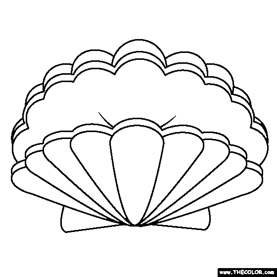 Shell coloring #20, Download drawings