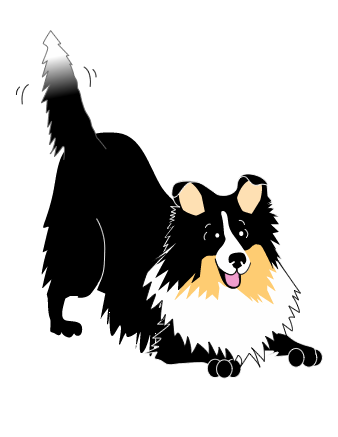 Shetland Sheepdog clipart #9, Download drawings