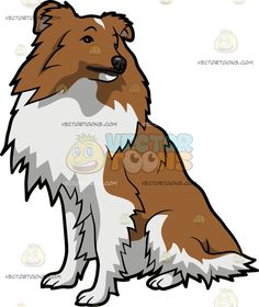 Shetland Sheepdog clipart #2, Download drawings