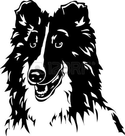 Shetland Sheepdog clipart #16, Download drawings