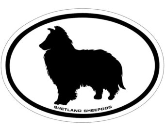 Shetland Sheepdog svg #8, Download drawings