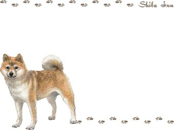 Shiba Inu clipart #5, Download drawings