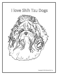 Shih Tzu coloring #18, Download drawings