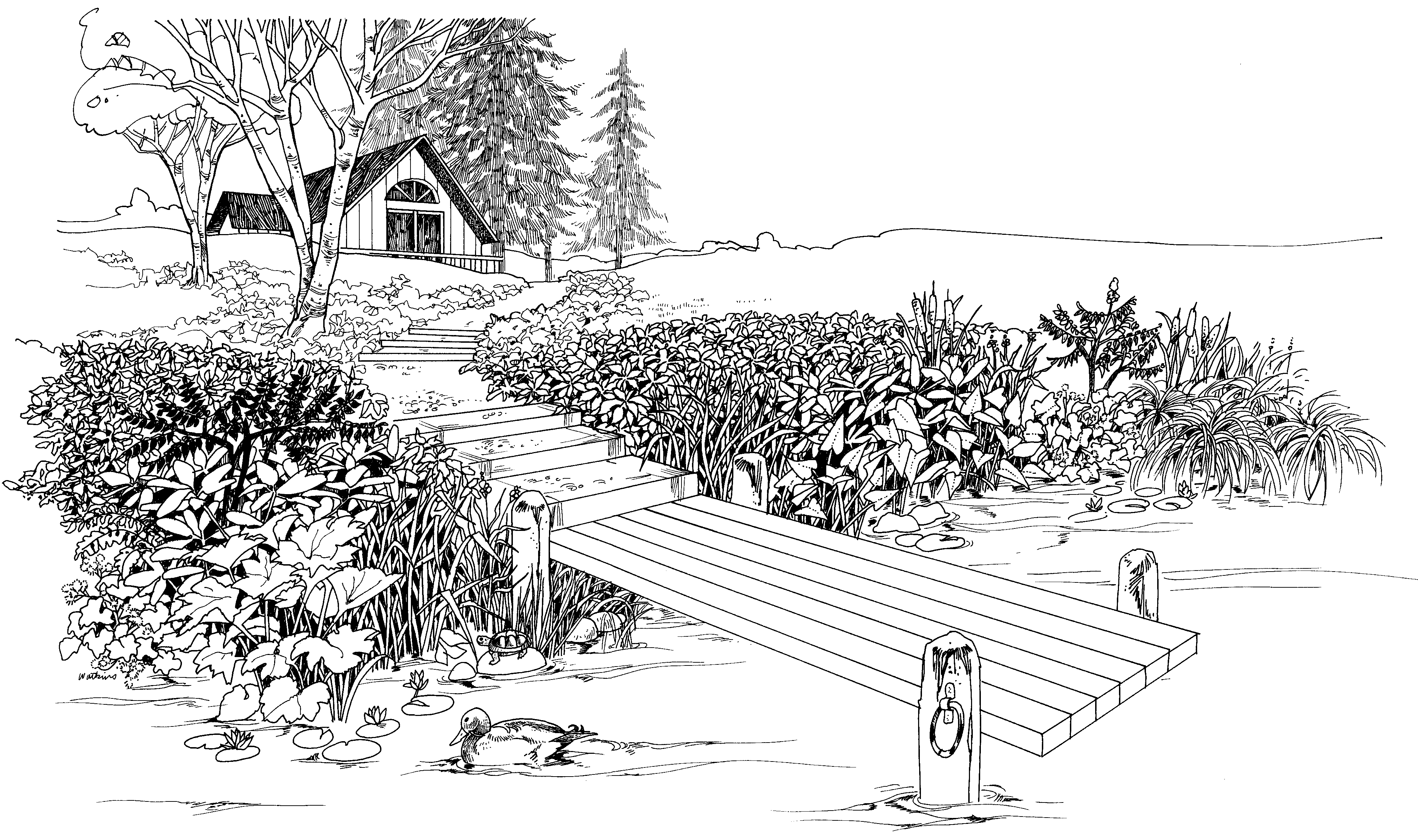 Shoreline clipart #3, Download drawings