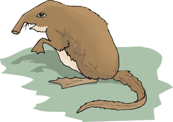 Shrew clipart #11, Download drawings
