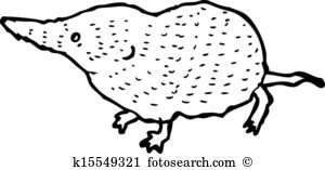 Shrew clipart #8, Download drawings
