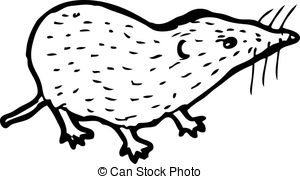 Shrew clipart #16, Download drawings