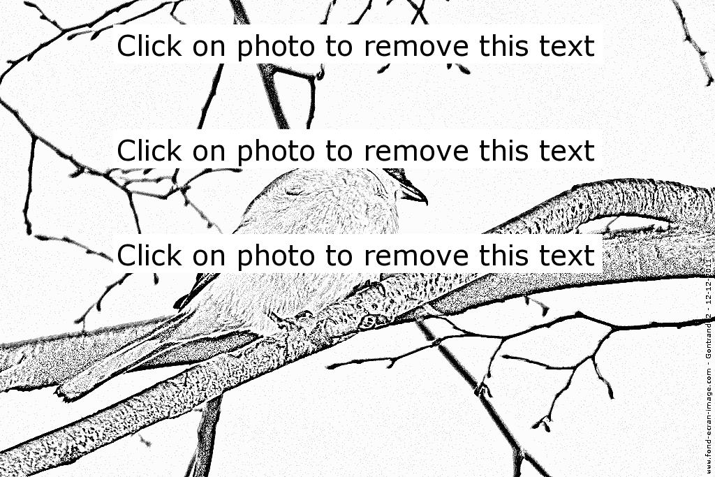 Shrike coloring #3, Download drawings