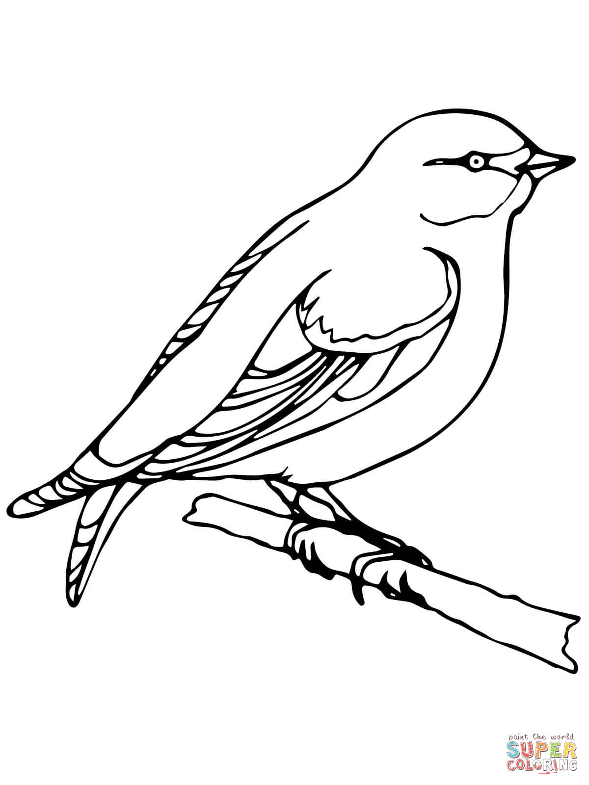 Shrike coloring #9, Download drawings