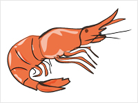 Shrimp clipart #9, Download drawings
