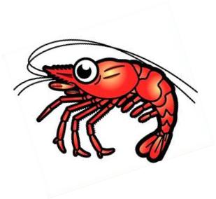 Shrimp clipart #12, Download drawings