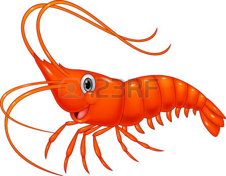 Shrimp clipart #8, Download drawings
