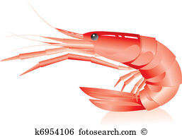 Shrimp clipart #14, Download drawings