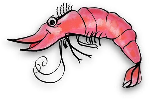 Shrimp clipart #16, Download drawings