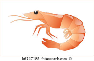 Shrimp clipart #19, Download drawings