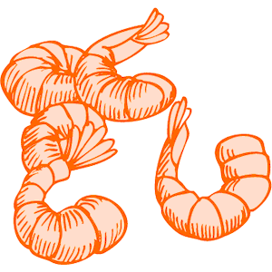 Shrimp clipart #18, Download drawings