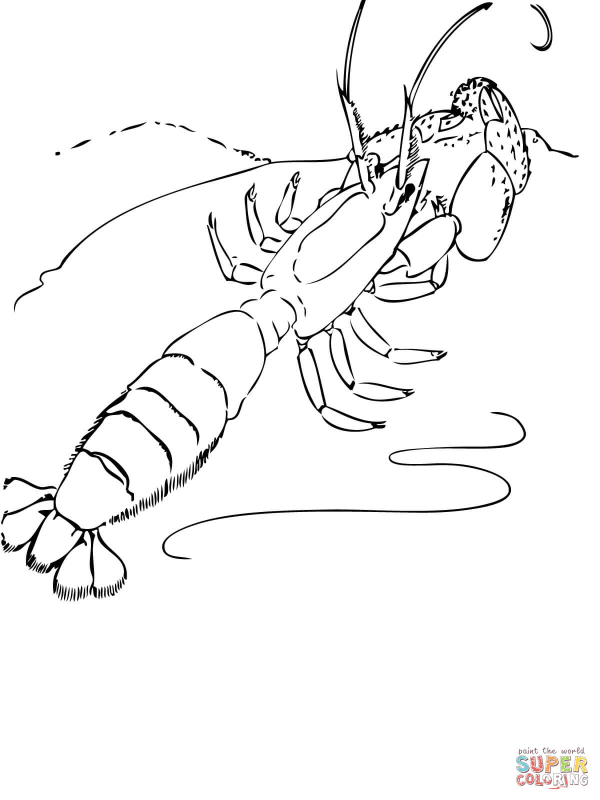 Shrimp coloring #6, Download drawings