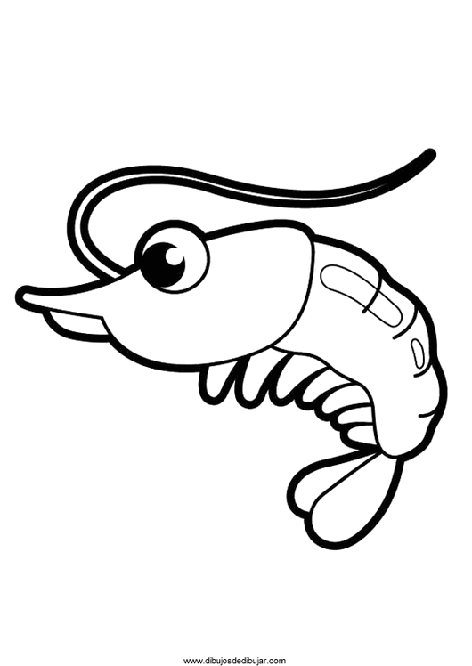 Shrimp coloring #1, Download drawings