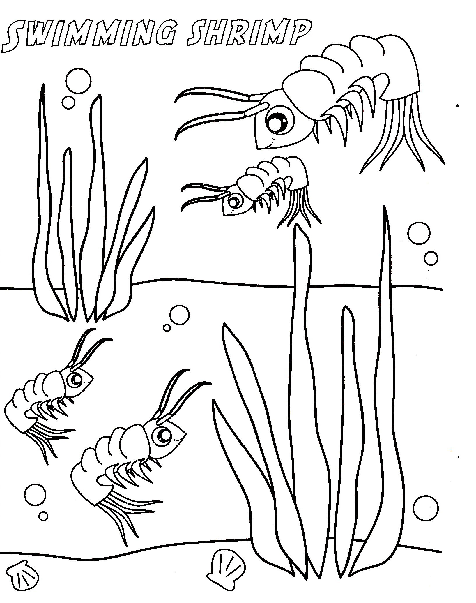 Shrimp coloring #2, Download drawings