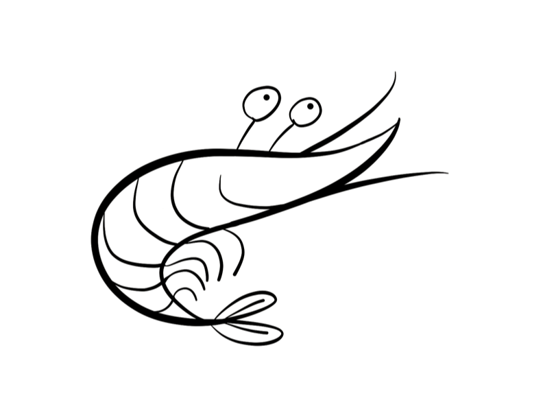 Shrimp coloring #12, Download drawings