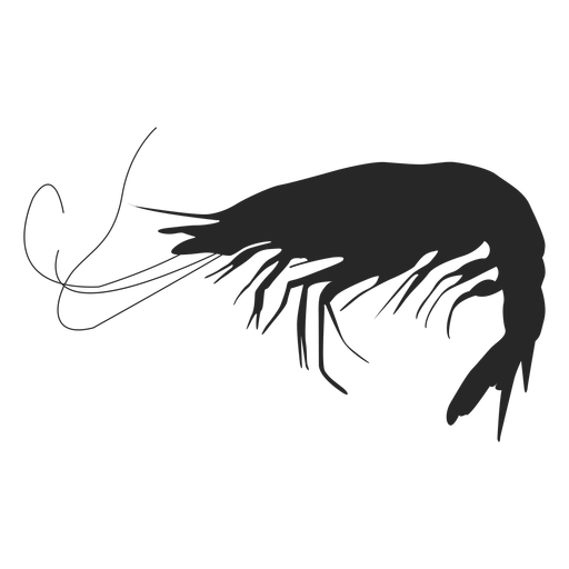 Shrimp svg #7, Download drawings