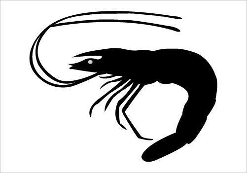 Shrimp svg #9, Download drawings