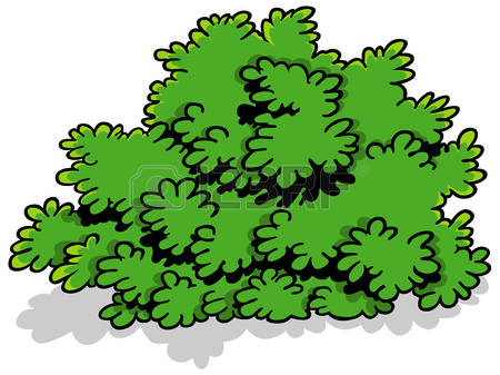 Shrub clipart #18, Download drawings