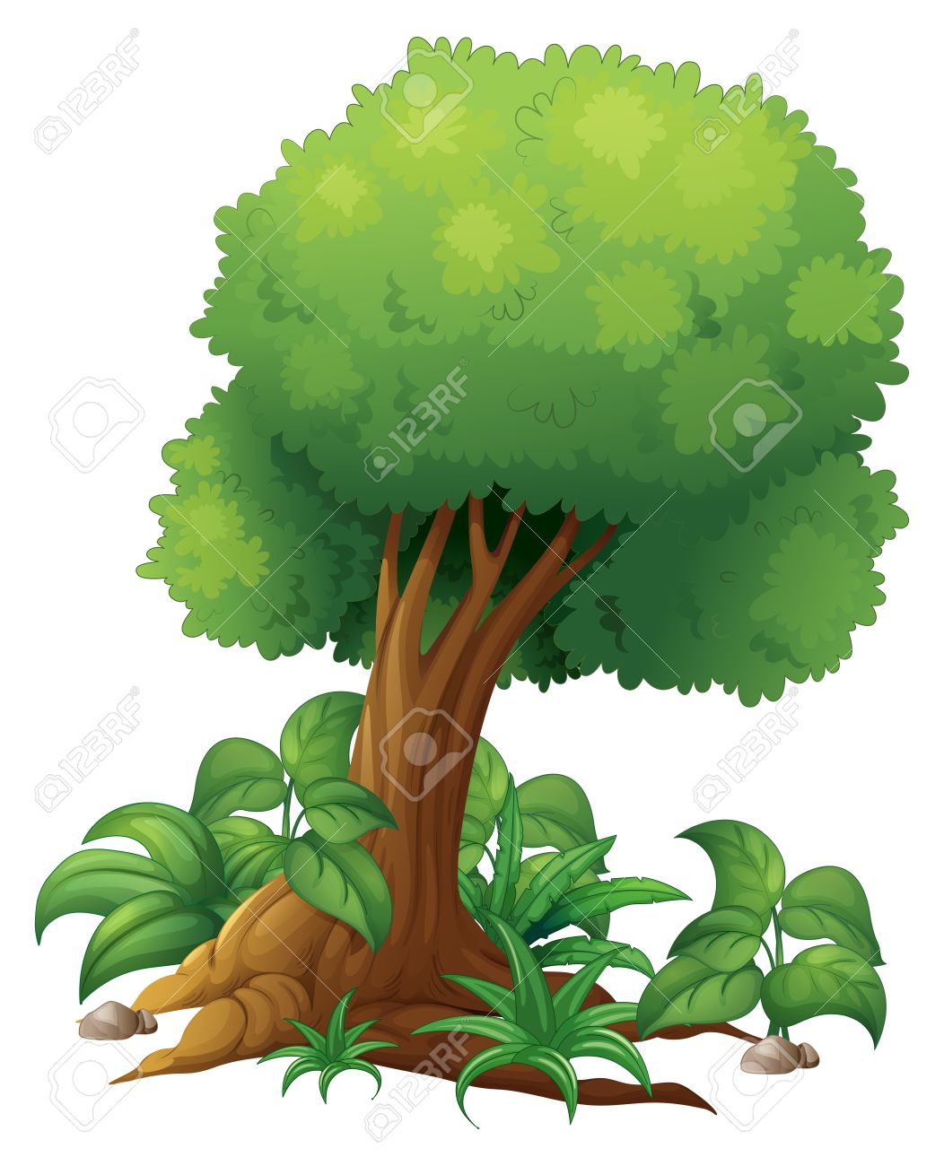 Shrub clipart #1, Download drawings