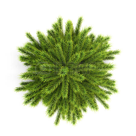 Shrub clipart #5, Download drawings