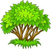 Shrub clipart #19, Download drawings