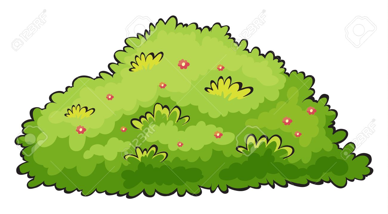 Shrub clipart #15, Download drawings