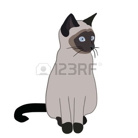 Siamese Cat clipart #13, Download drawings