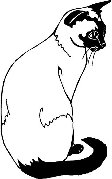 Siamese Cat coloring #12, Download drawings